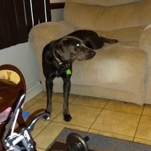 Meet your Posher, Darin